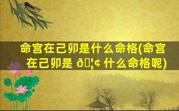 命宫在己卯是什么命格(命宫在己卯是 🦢 什么命格呢)